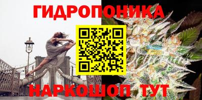 дмт Кулебаки