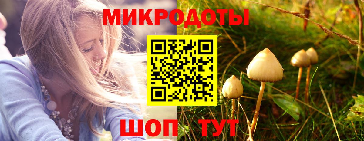 Галлюциногенные грибы Psilocybe  Вход с VPN  Псилоцибиновые грибы прущие грибы  Еманжелинск 